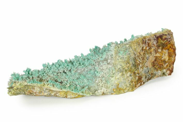 White and Teal Aragonite Formation - Pilhuatepec, Mexico #242654